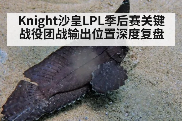 Knight沙皇LPL季后赛关键战役团战输出位置深度复盘